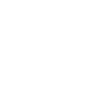 magento logo shop system