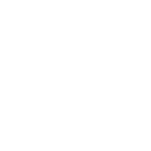 shopware logo shop system